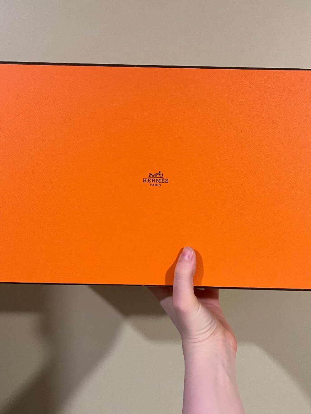 Hermes Shoe Box
